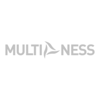 multiness