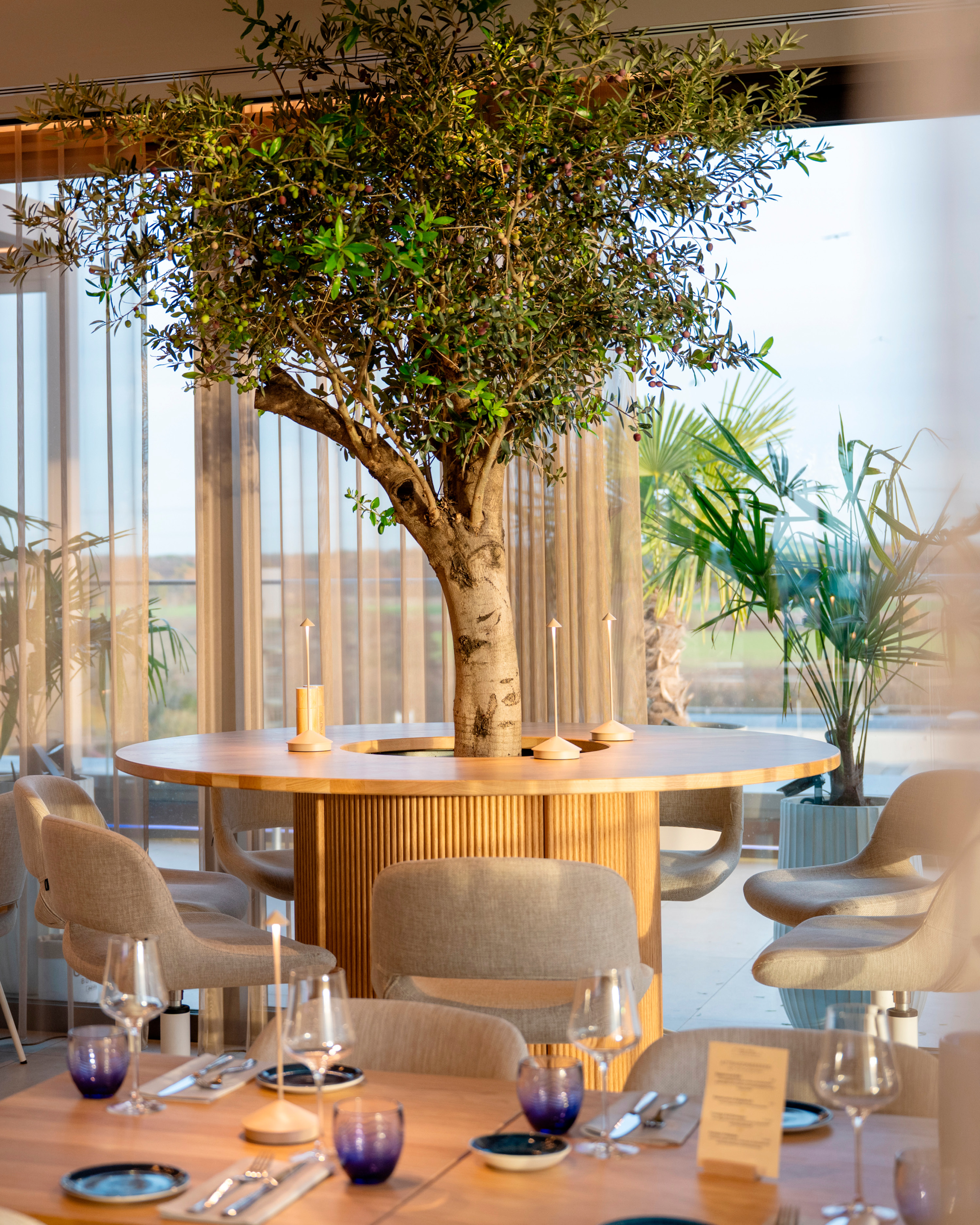 Nelblu_layout_GOLDENHOUR Kopie